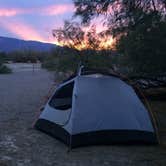 Review photo of Furnace Creek Campground — Death Valley National Park by Sarah S., July 20, 2015