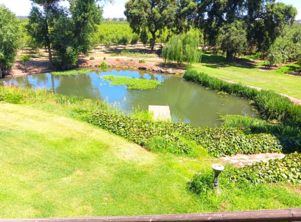 Camper-submitted photo at Tuolumne River Ranch near Waterford, CA