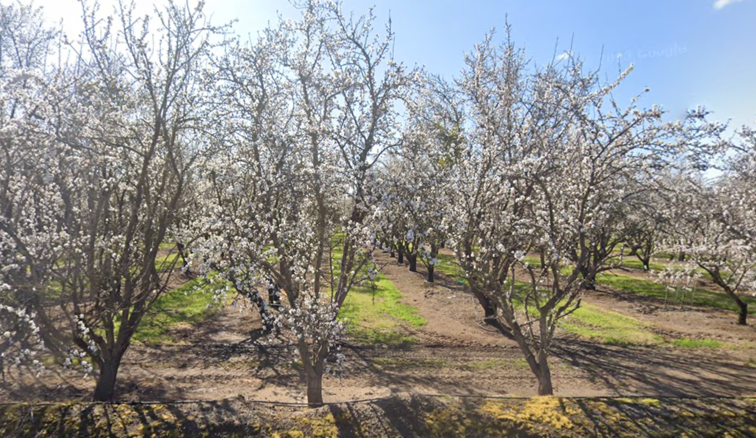 Camper-submitted photo at Tuolumne River Ranch near Waterford, CA