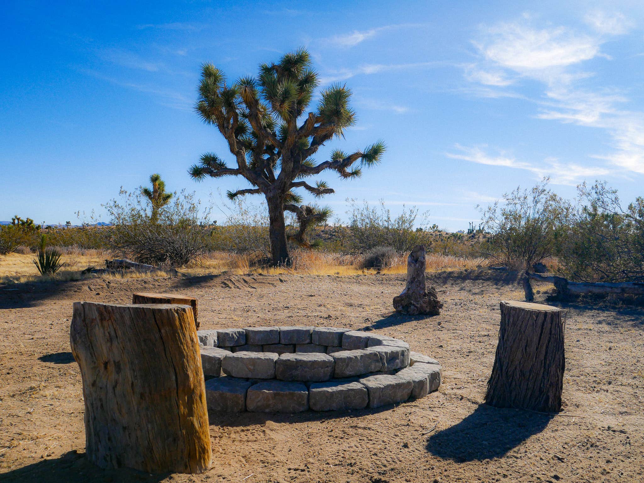 Camper submitted image from 15 min to Joshua Tree National Park! - 2