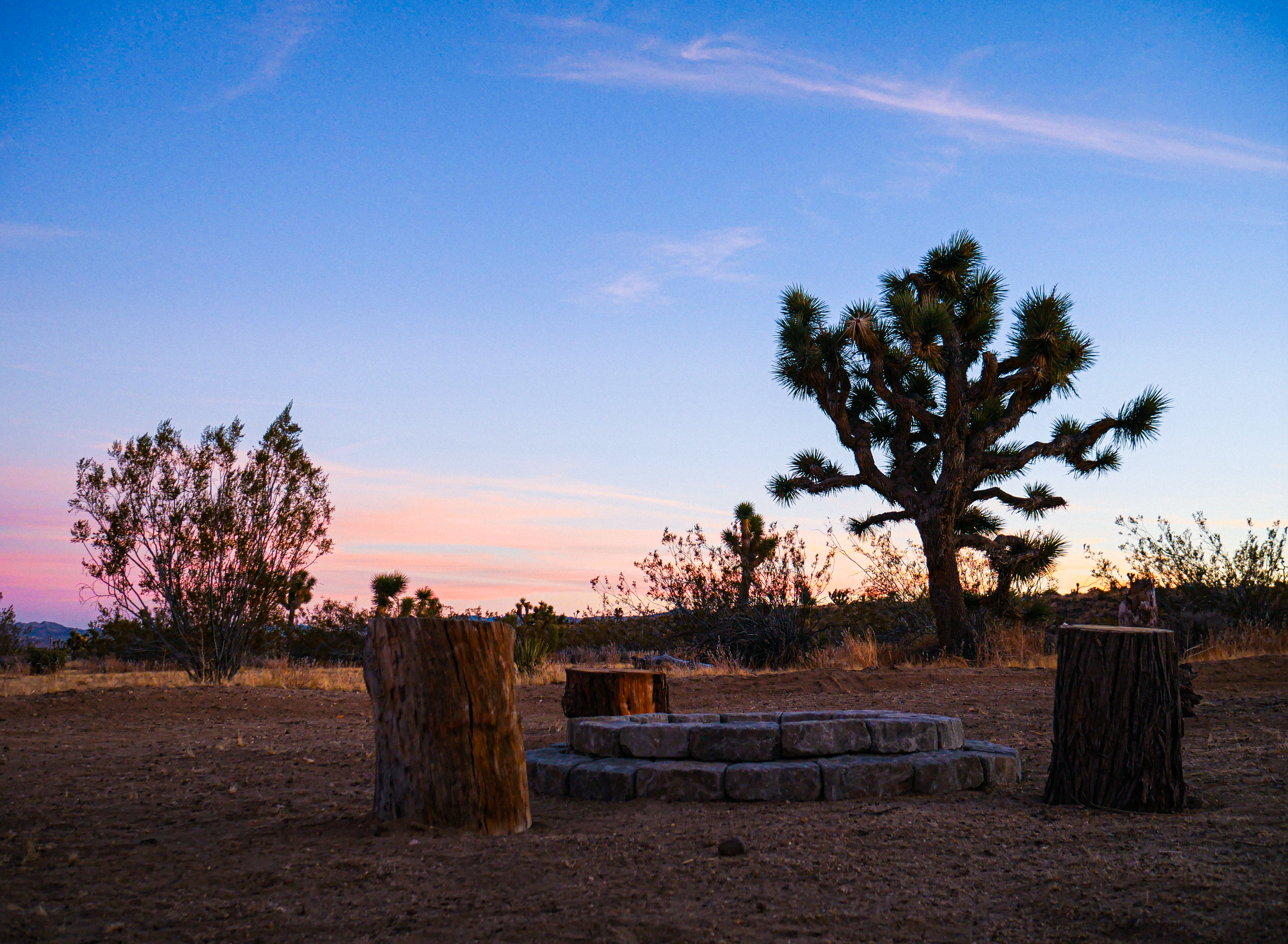 Camper submitted image from 15 min to Joshua Tree National Park! - 1