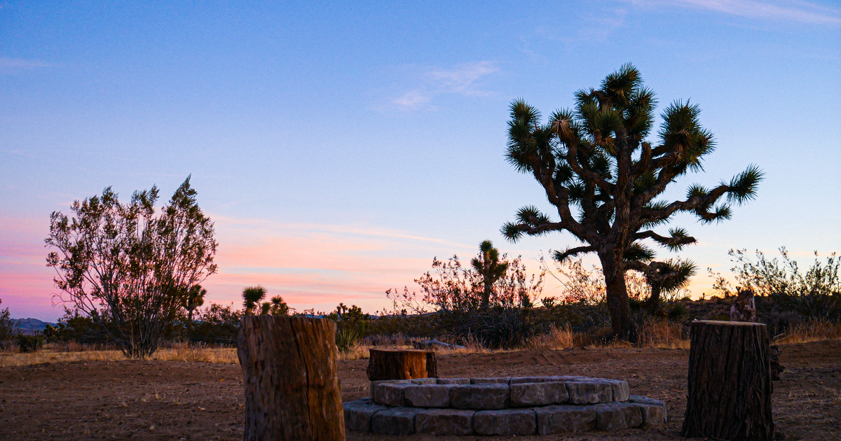 15 min to Joshua Tree National Park!