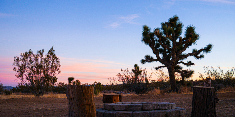 Camper submitted image from 15 min to Joshua Tree National Park!