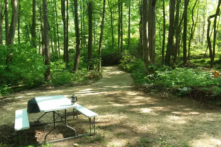 Camper-submitted photo at Dark Ridge HideOut (Adults Only) near Vilas, NC