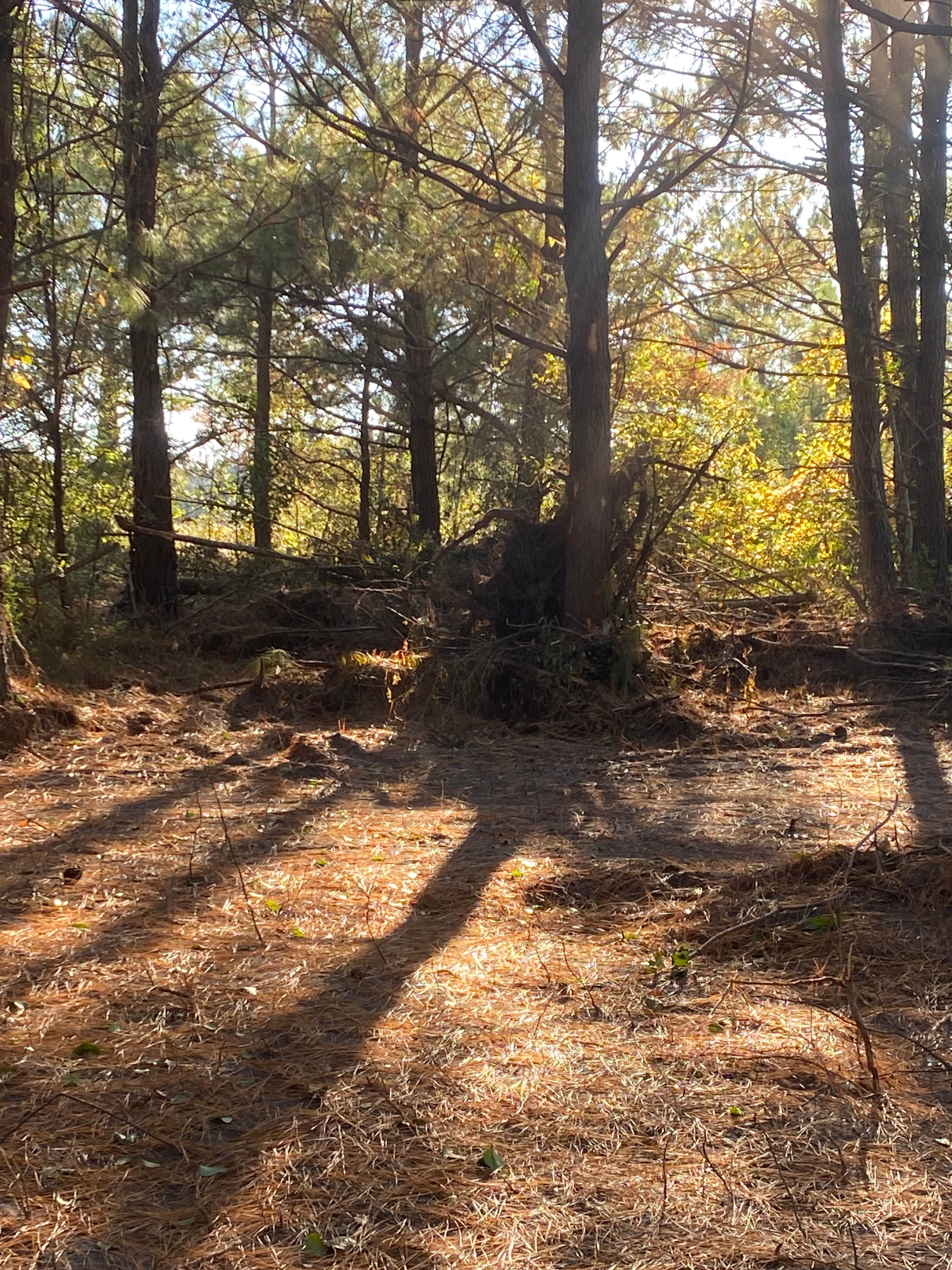 Camper-submitted photo at Nick’s Nook Family Campground near Burgaw, NC