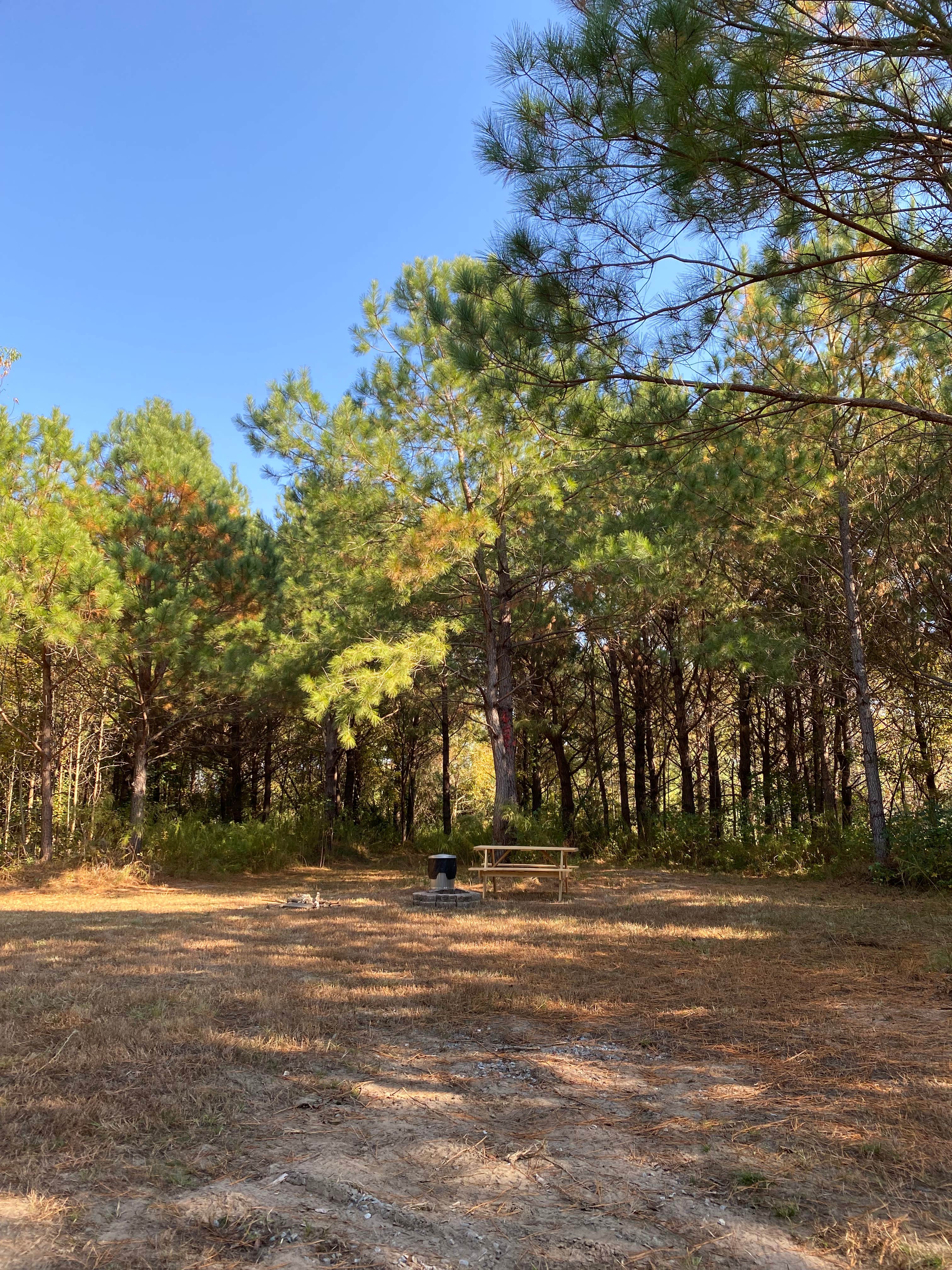 Camper-submitted photo at Nick’s Nook Family Campground near Burgaw, NC