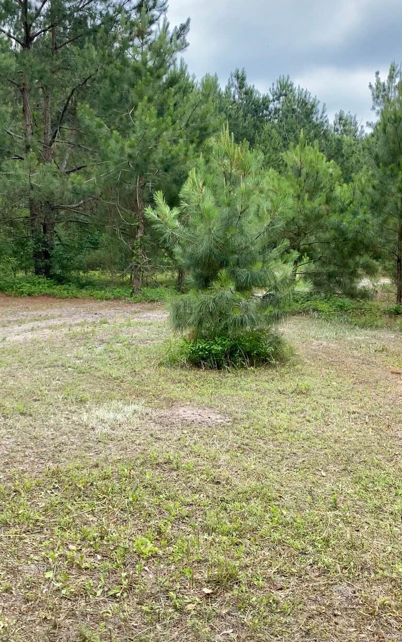 Camper-submitted photo at Nick’s Nook Family Campground near Burgaw, NC