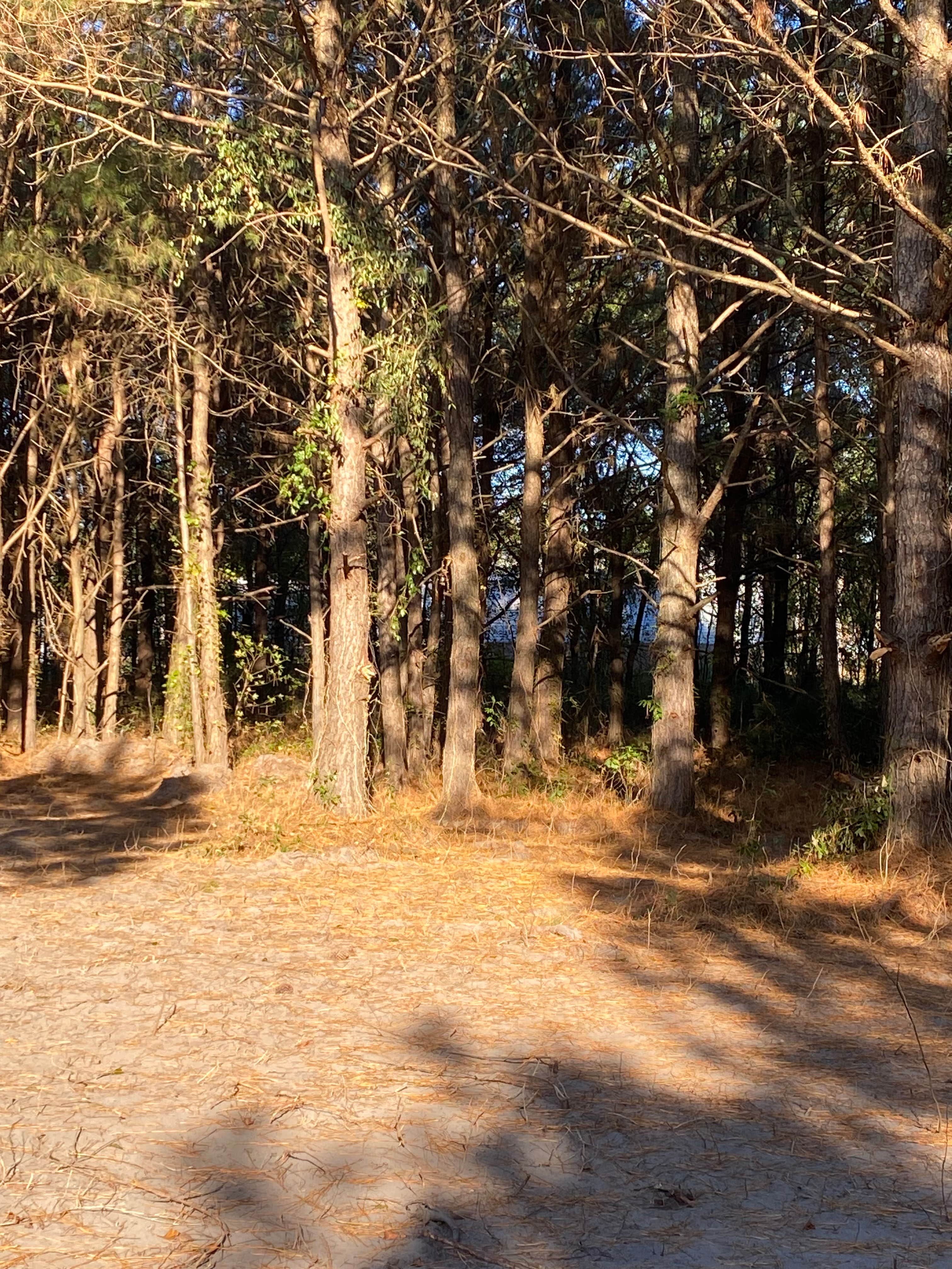 Camper-submitted photo at Nick’s Nook Family Campground near Burgaw, NC