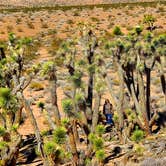 Review photo of BLM Whitney Pockets - Falling Man Camp by Jeff R., December 26, 2023