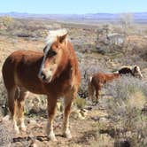 Review photo of BLM Whitney Pockets - Falling Man Camp by Jeff R., December 26, 2023