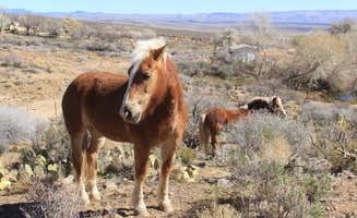Jeff R.'s photo of camping with a horse at BLM Whitney Pockets - Falling Man Camp in Nevada