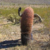 Review photo of BLM Whitney Pockets - Falling Man Camp by Jeff R., December 26, 2023