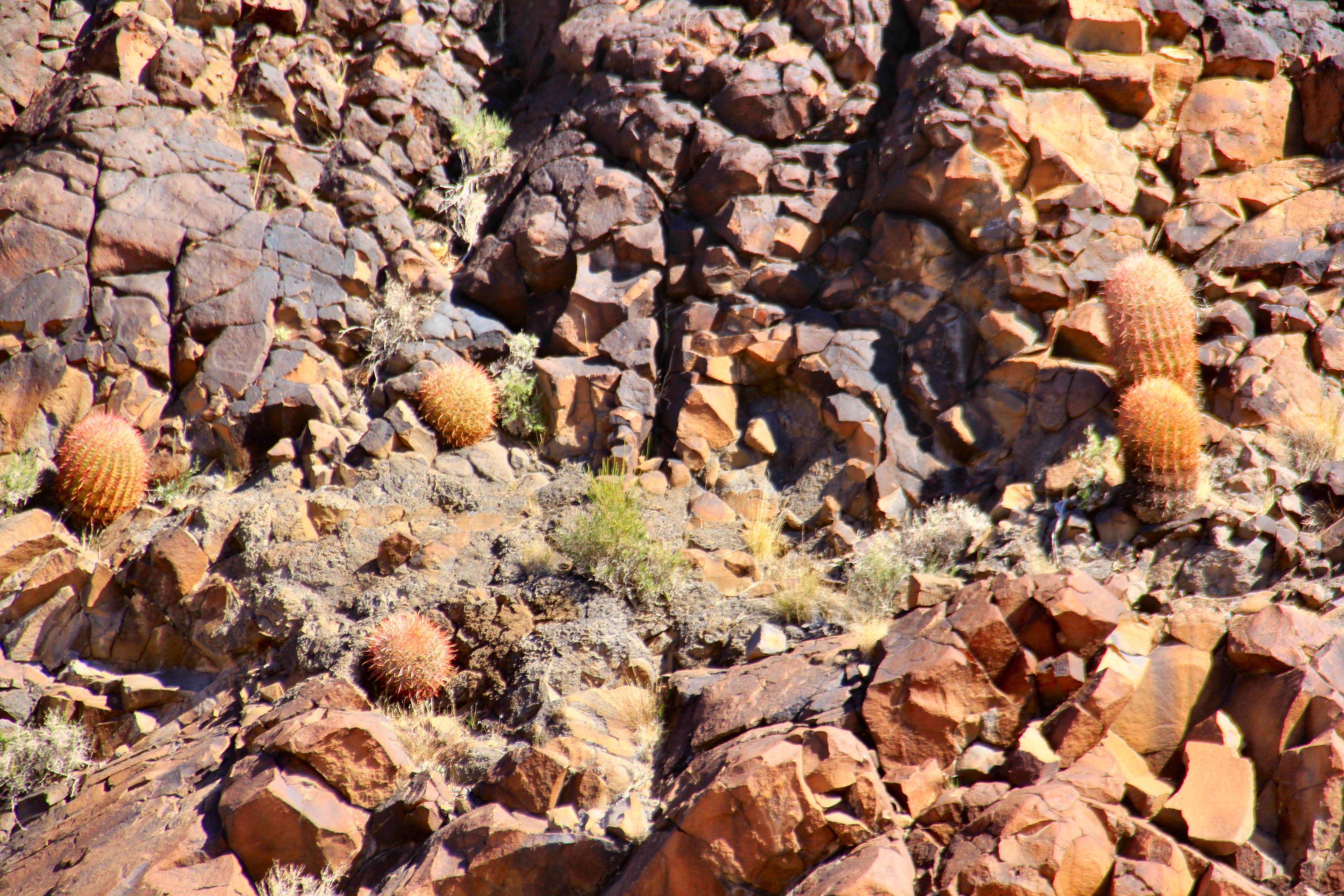 Camper-submitted photo at BLM Whitney Pockets - Falling Man Camp near Bunkerville, NV