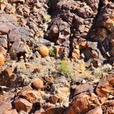 Review photo of BLM Whitney Pockets - Falling Man Camp by Jeff R., December 26, 2023