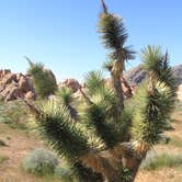 Review photo of Whitney Pockets, Nevada by Jeff R., December 26, 2023