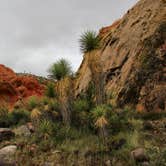 Review photo of Whitney Pockets, Nevada by Jeff R., December 26, 2023