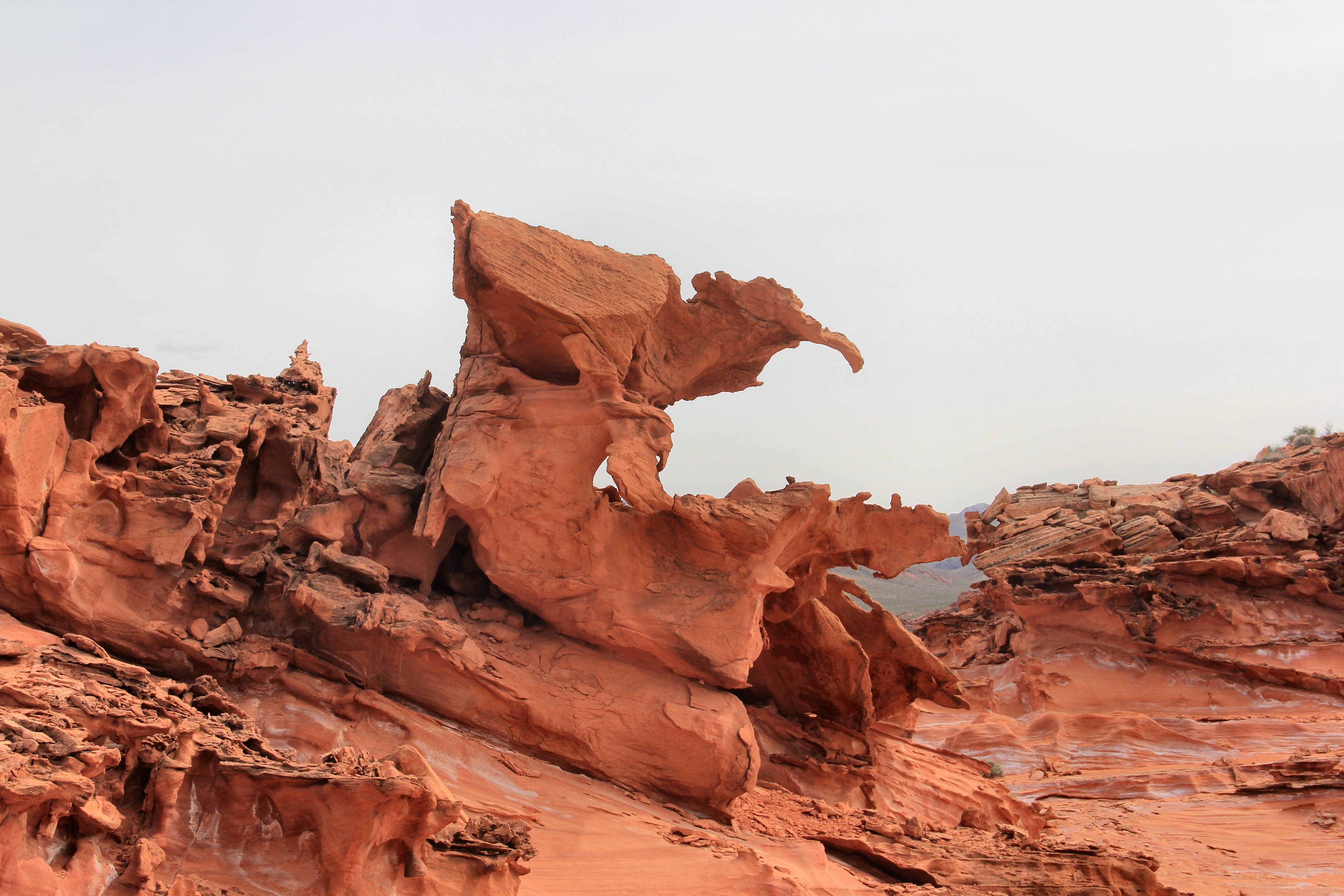 Camper-submitted photo at Whitney Pockets, Nevada near Bunkerville, NV