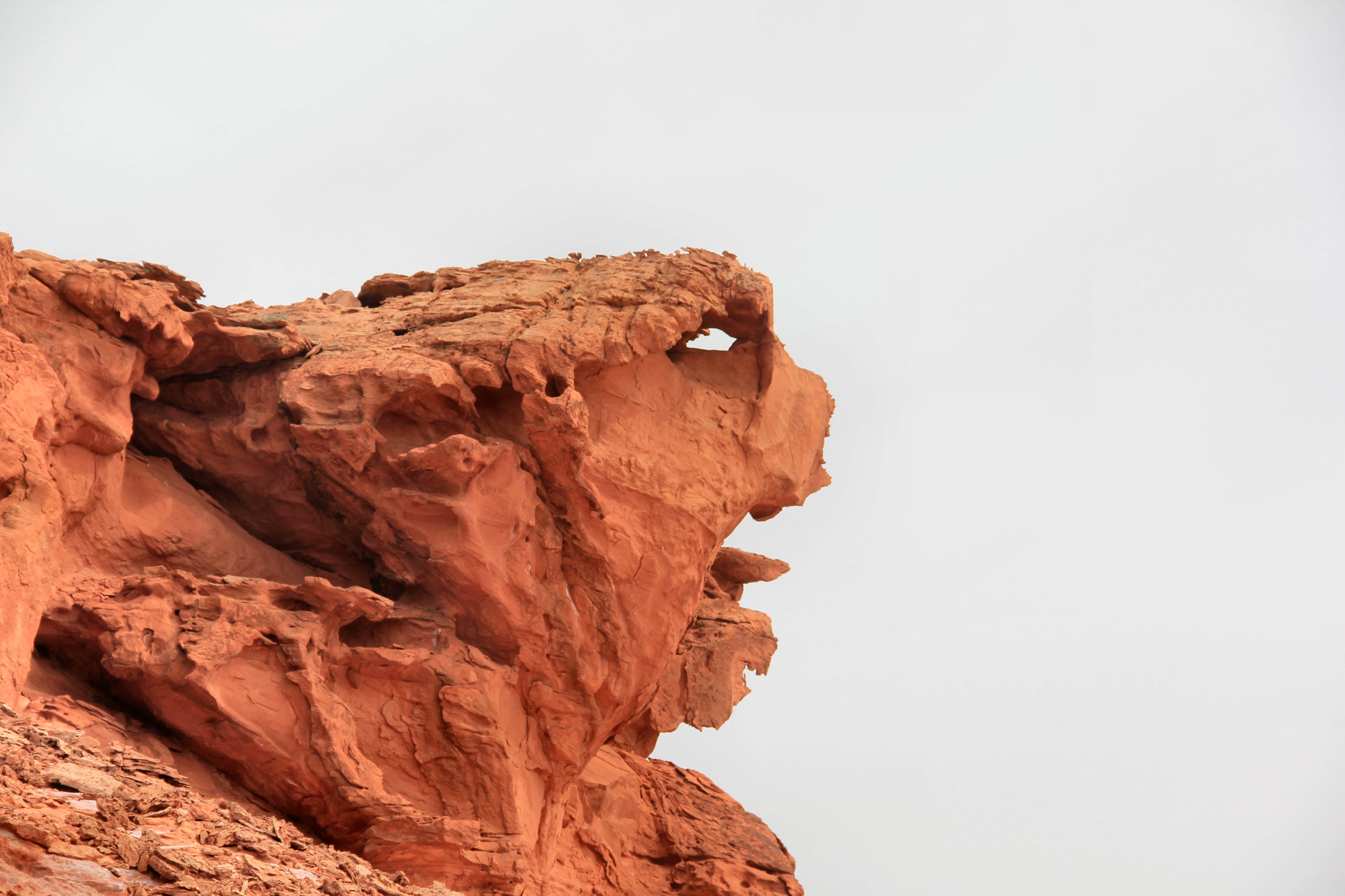 Camper-submitted photo at Whitney Pockets, Nevada near Bunkerville, NV