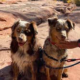 Review photo of Thousand Trails Verde Valley by Karen S., December 26, 2023