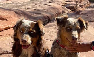 Karen S.'s photo of camping with pets at Thousand Trails Verde Valley near Cottonwood, AZ