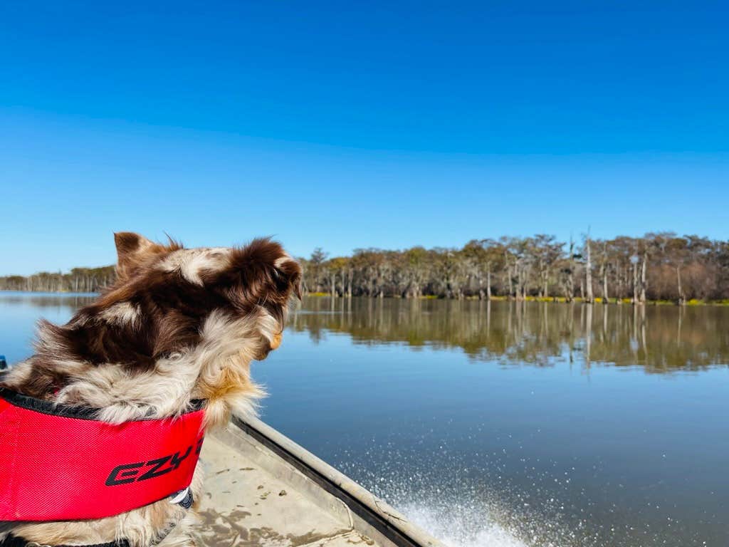 Camper-submitted photo at Baton Rouge KOA near Baton Rouge, LA