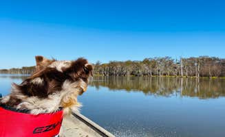 Karen S.'s photo of camping with pets at Baton Rouge KOA near Tunica, LA