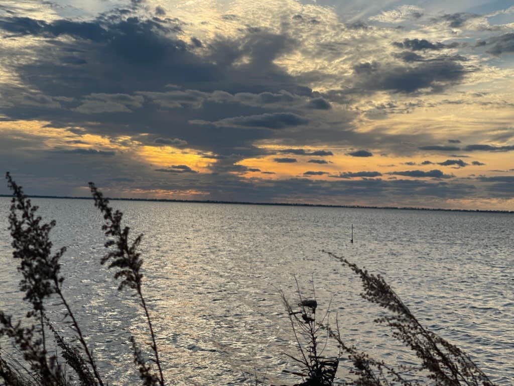 Camper-submitted photo at Presnell's Bayside Marina and RV Resort near Port St. Joe, FL