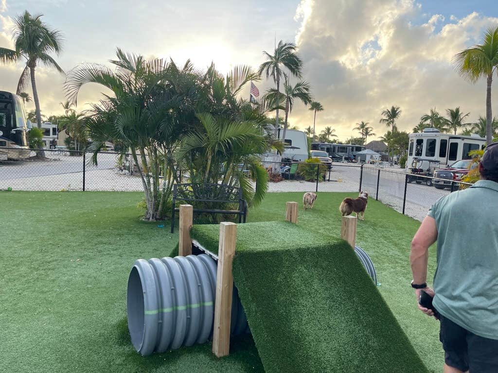 Karen S.'s photo of camping with pets at Encore Sunshine Key near Key West, FL