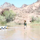 Review photo of Lake Havasu Shoreline Sites by Audrey R., November 1, 2018