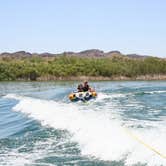 Review photo of Lake Havasu Shoreline Sites by Audrey R., November 1, 2018