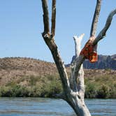 Review photo of Lake Havasu Shoreline Sites by Audrey R., November 1, 2018