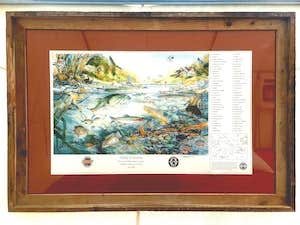 Camper-submitted photo at Stones River Getaway near Brentwood, TN