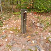 Review photo of Greenfield State Park Campground by Laura M., December 28, 2023