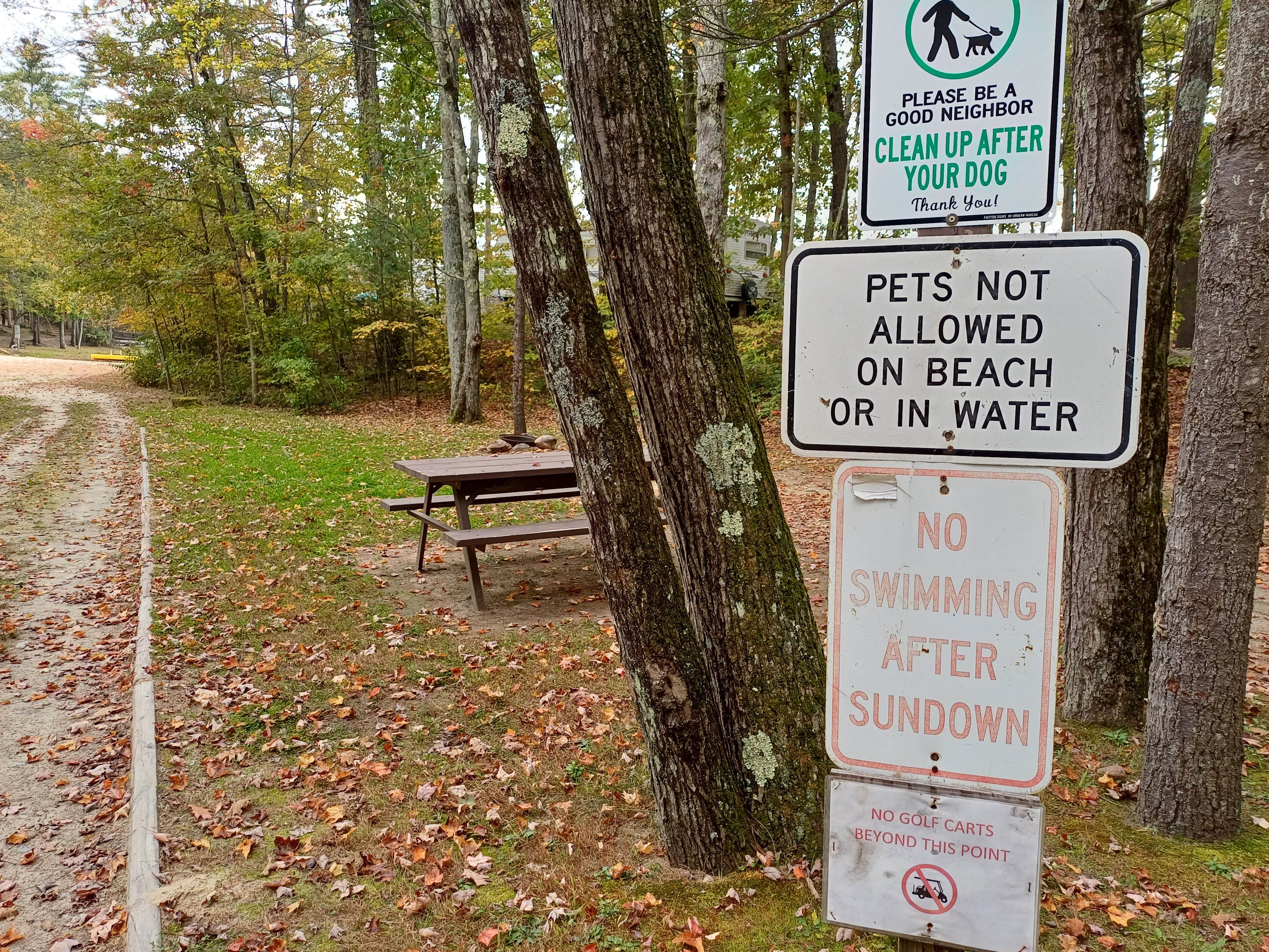 Camper submitted image from Keyser Pond Campground - 4