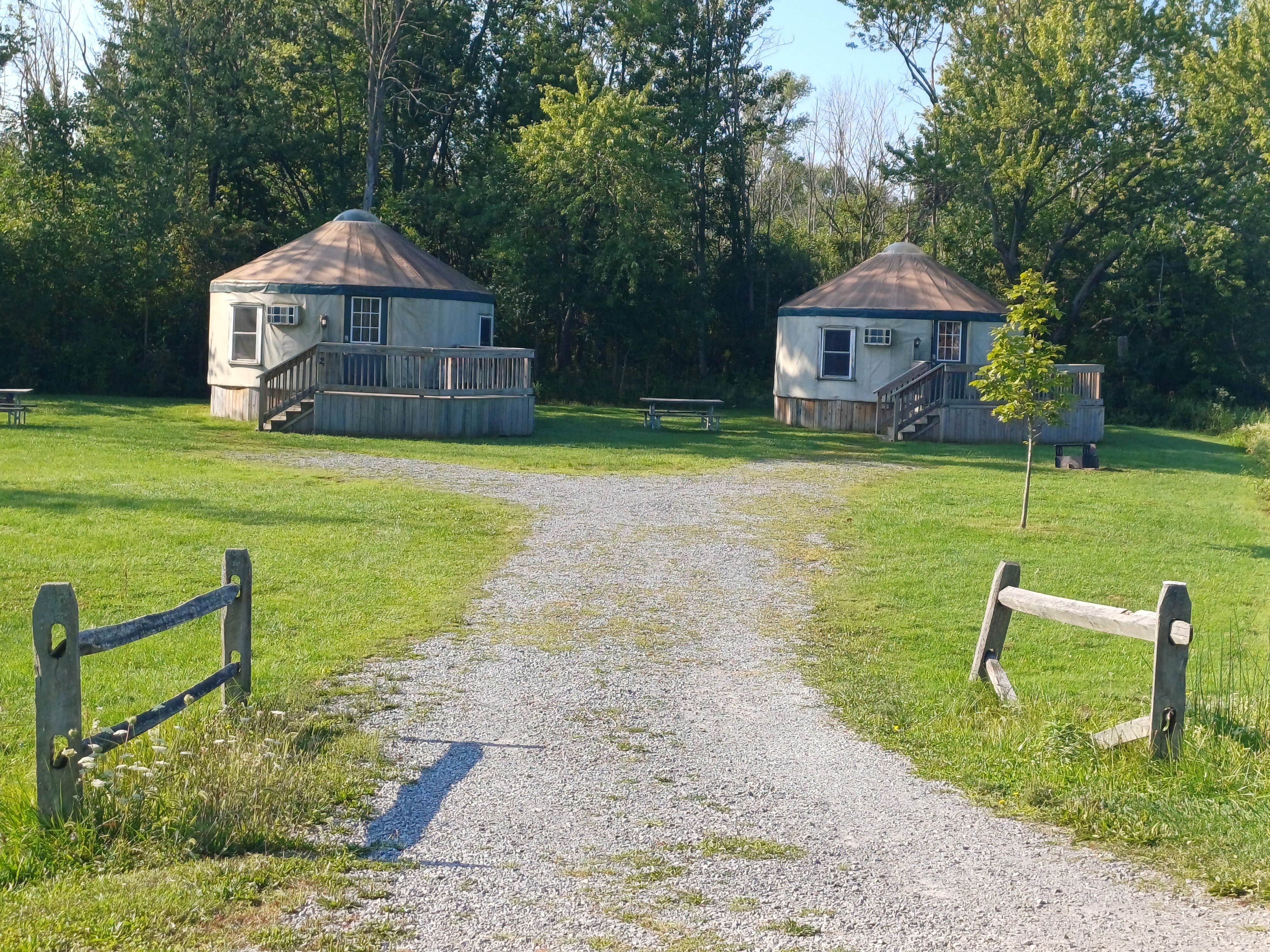 Camper submitted image from Evangola State Park Campground - 4