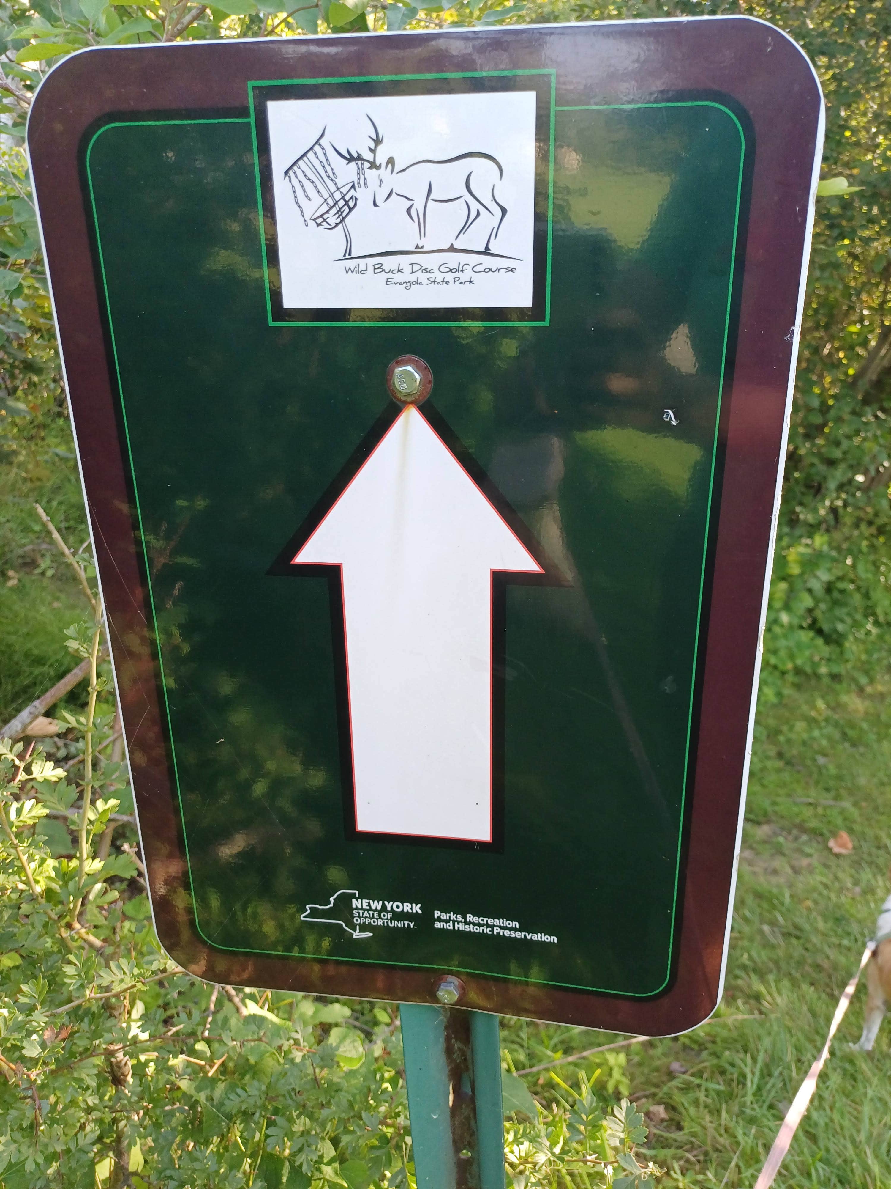 Laura M.'s photo of camping with pets at Evangola State Park Campground near Clarence, NY