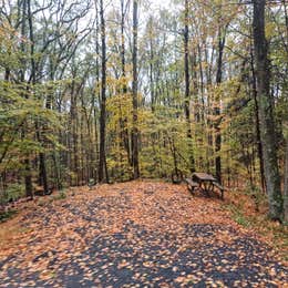 Winding Hills Park