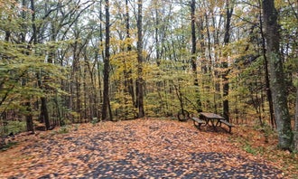 Camping near Benchmark Hideaway Campground: Winding Hills Park, Montgomery, New York