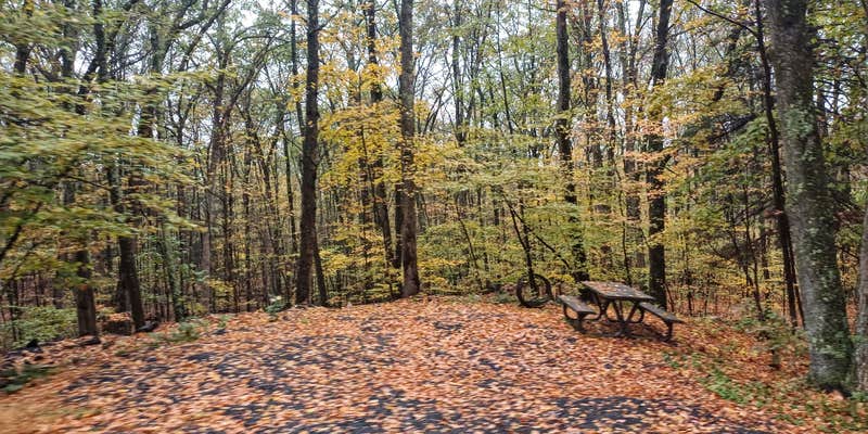 Camper submitted image from Winding Hills Park