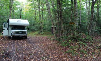Laura M.'s photo of camping with pets at Moose River Plains near Remsen, NY