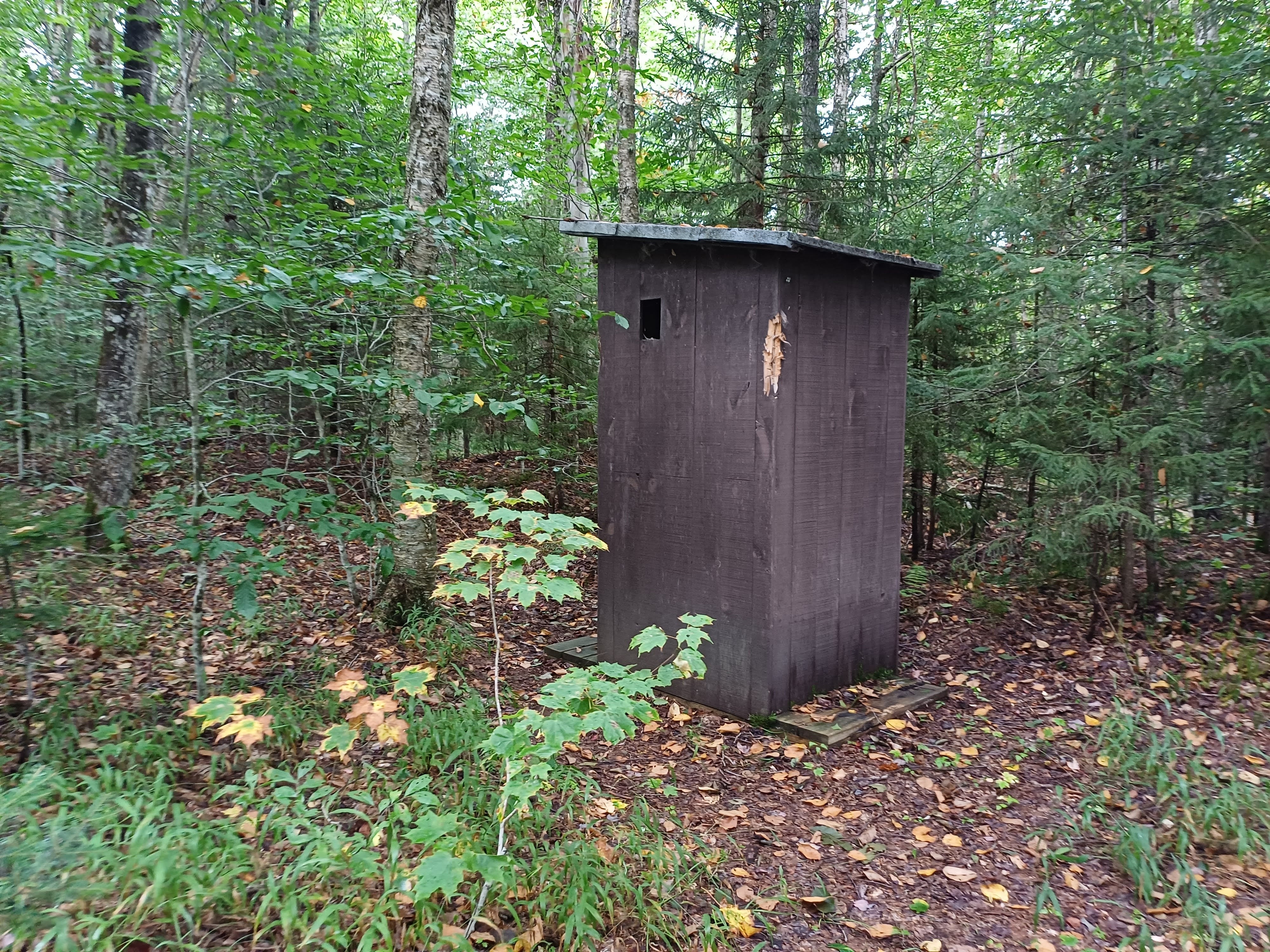 Camper submitted image from Moose River Plains - 5