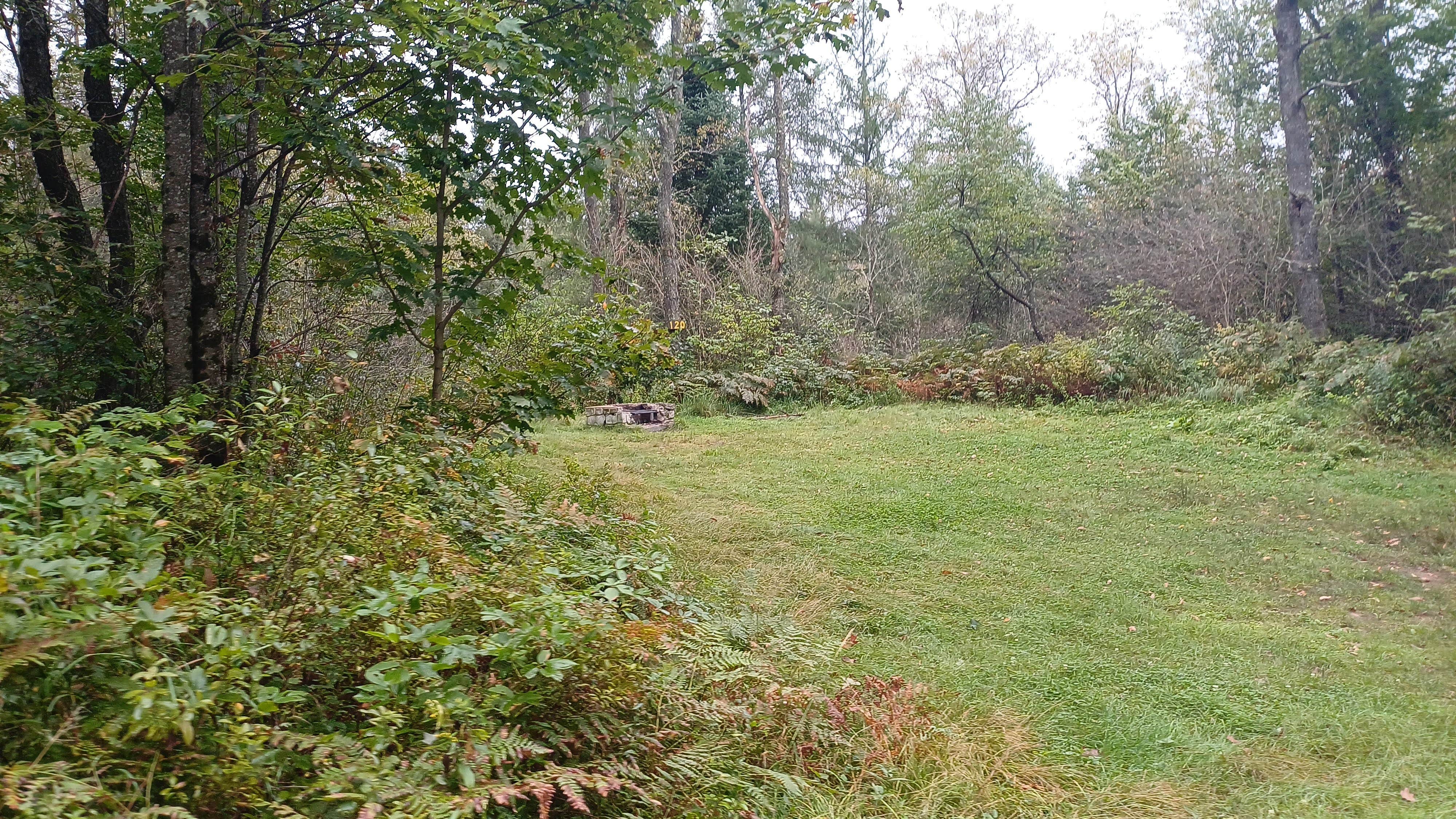 Camper-submitted photo at Moose River Plains near Blue Mountain Lake, NY