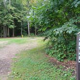 Review photo of Selkirk Shores State Park Campground by Laura M., December 28, 2023