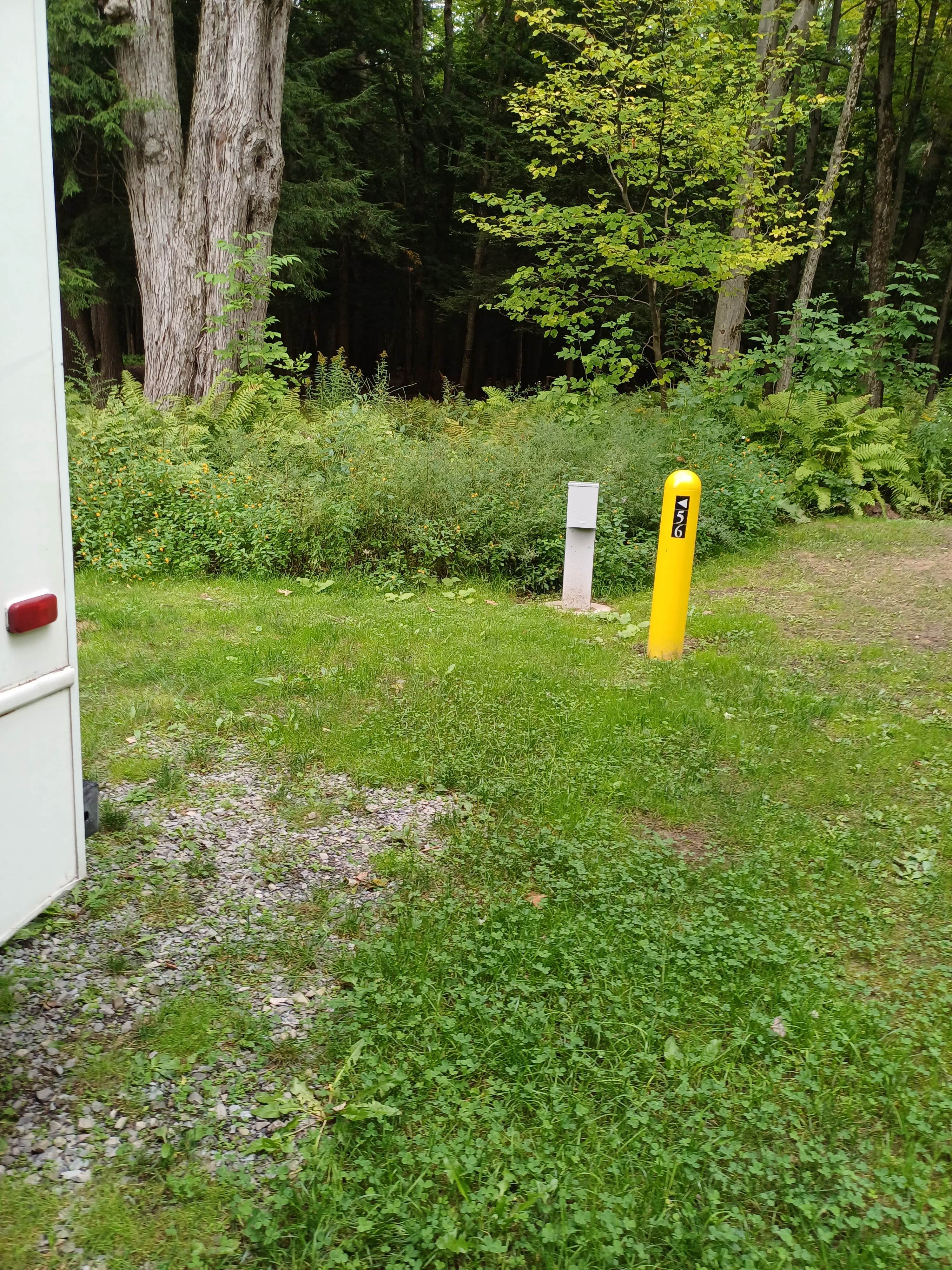 Camper-submitted photo at Selkirk Shores State Park Campground near Orwell, NY