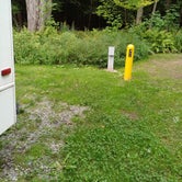 Review photo of Selkirk Shores State Park Campground by Laura M., December 28, 2023