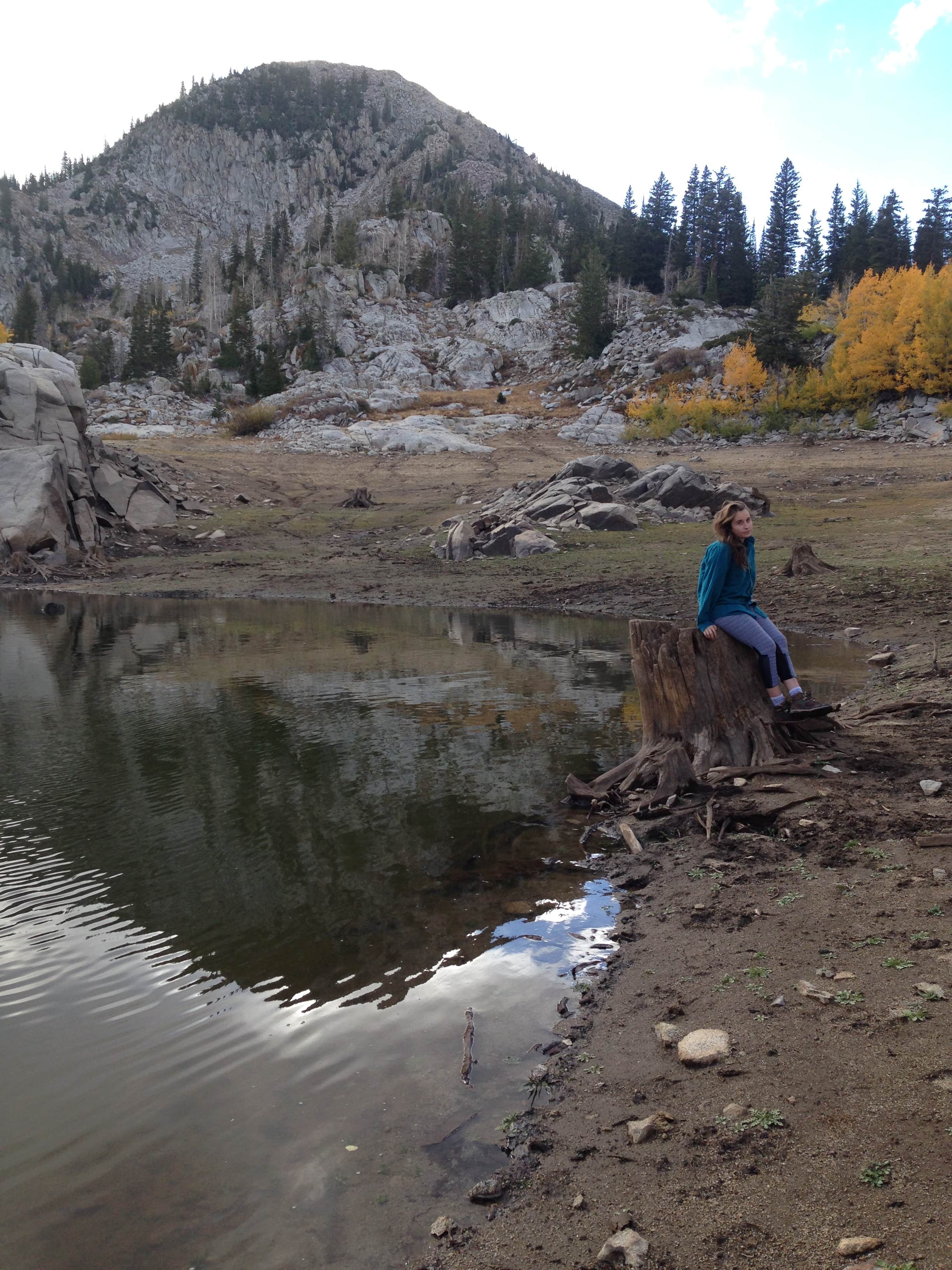 Camper-submitted photo at Albion Basin - Dispersed near Murray, UT