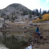 Review photo of Albion Basin - Dispersed by Alan B., November 1, 2018