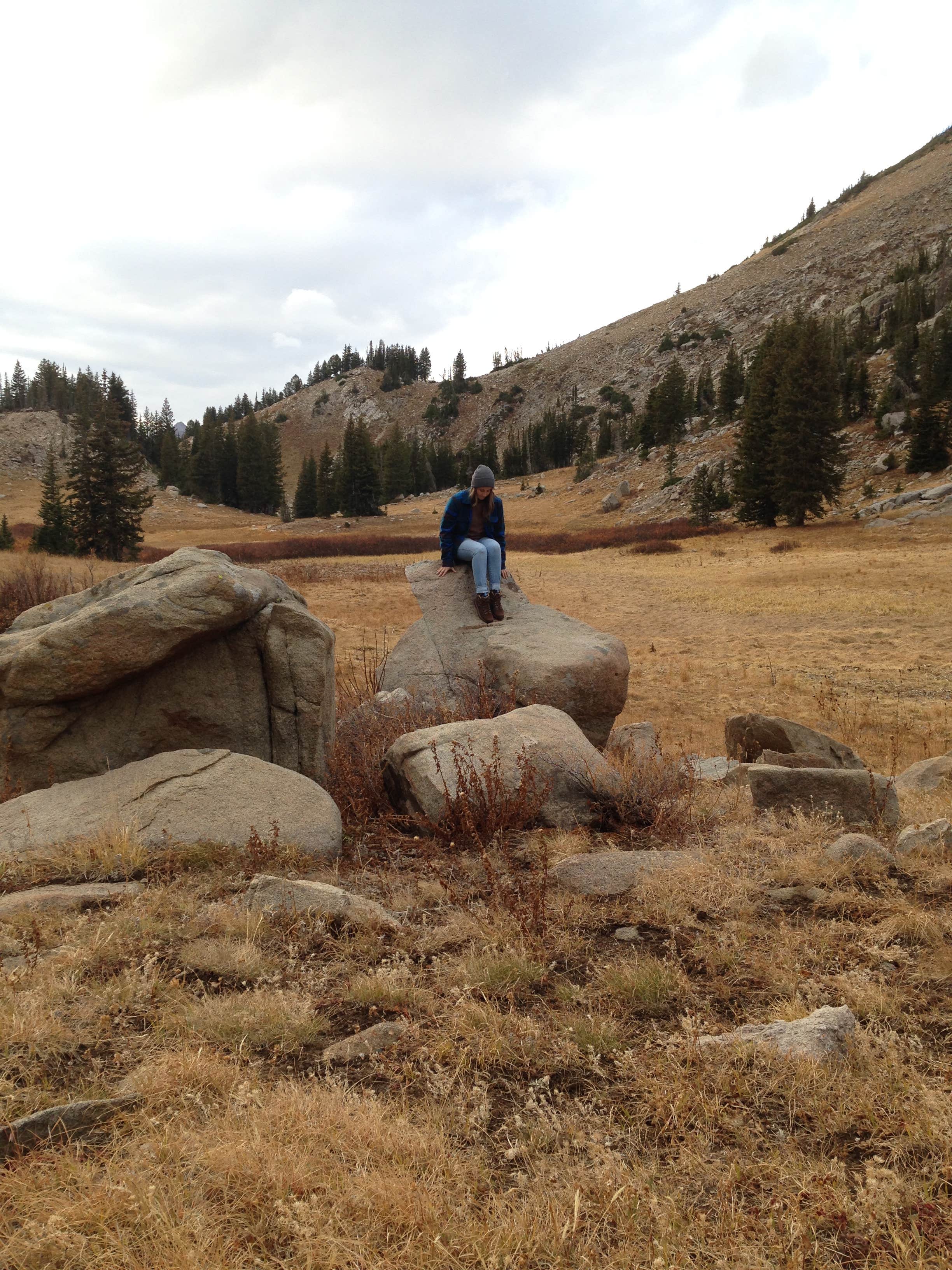 Camper-submitted photo at Albion Basin - Dispersed near Murray, UT
