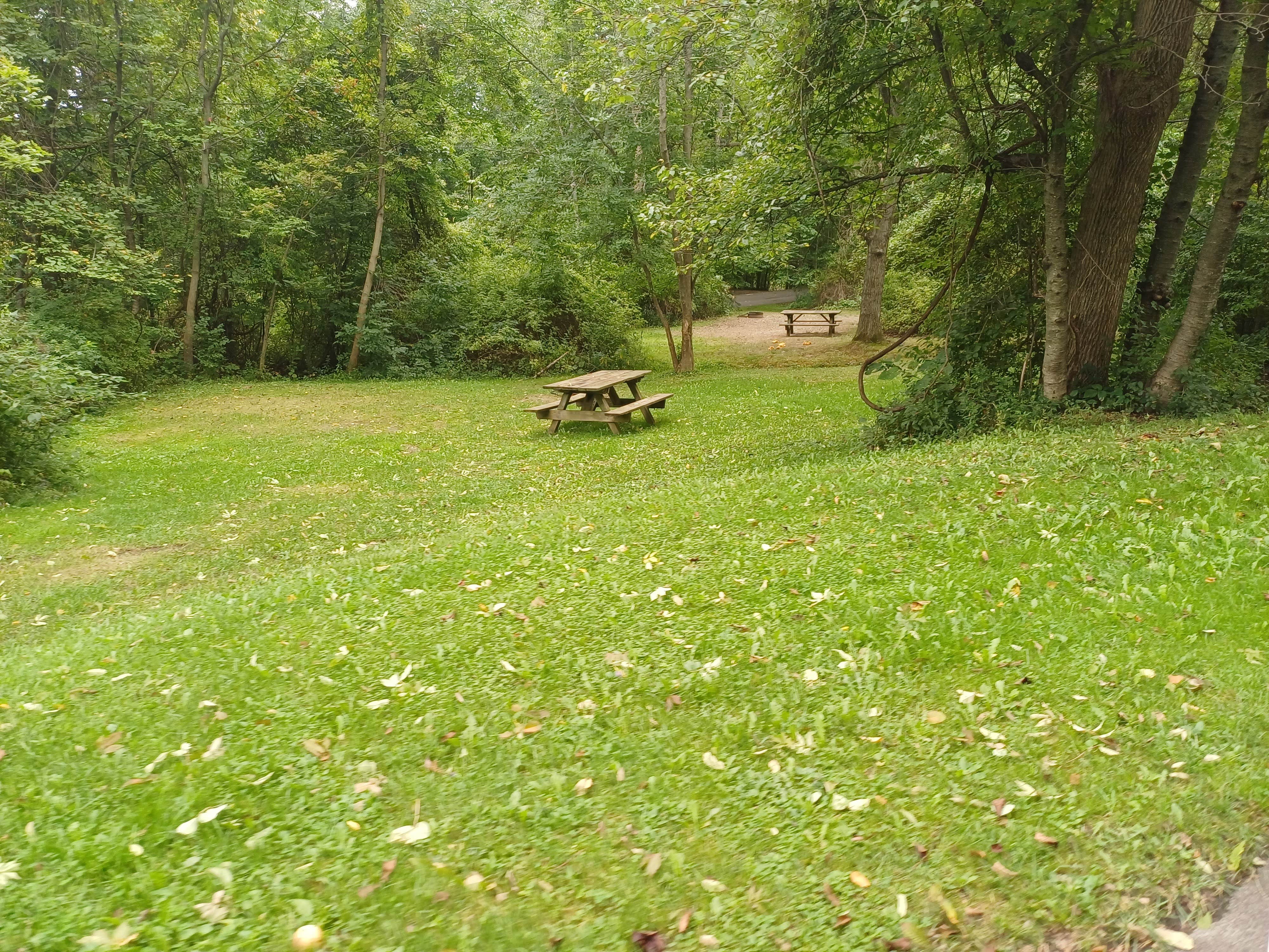 Camper-submitted photo at Lakeview Camping Area — Fair Haven Beach State Park near Sodus Point, NY