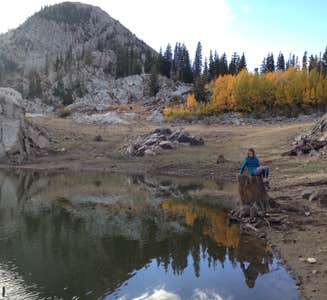 Camper-submitted photo from Albion Basin - Dispersed